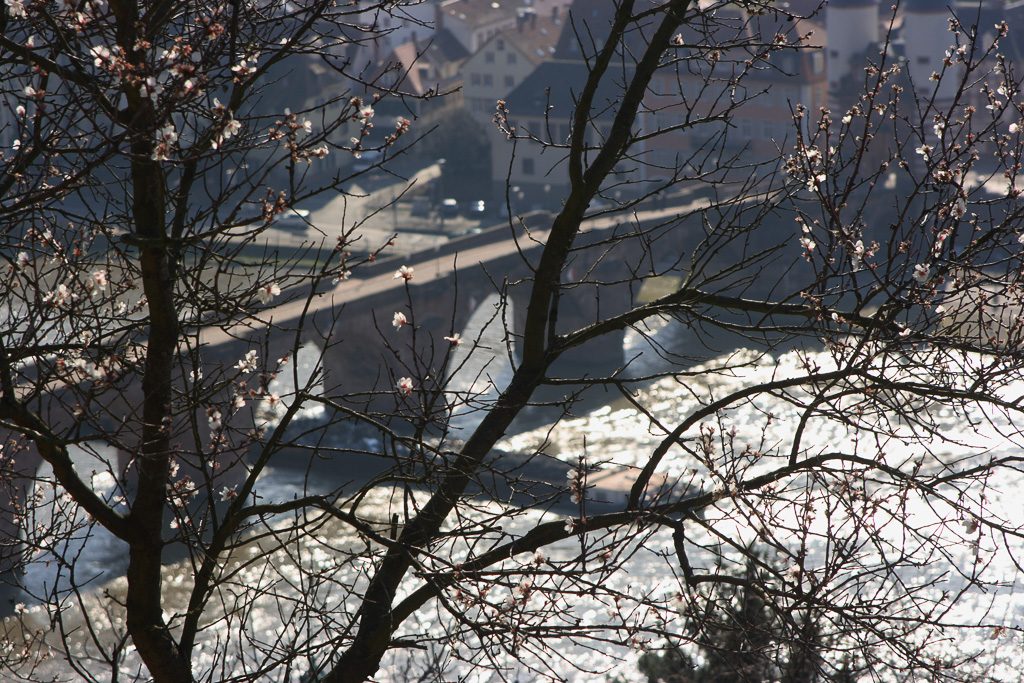 Alte Brücke Heidelberg